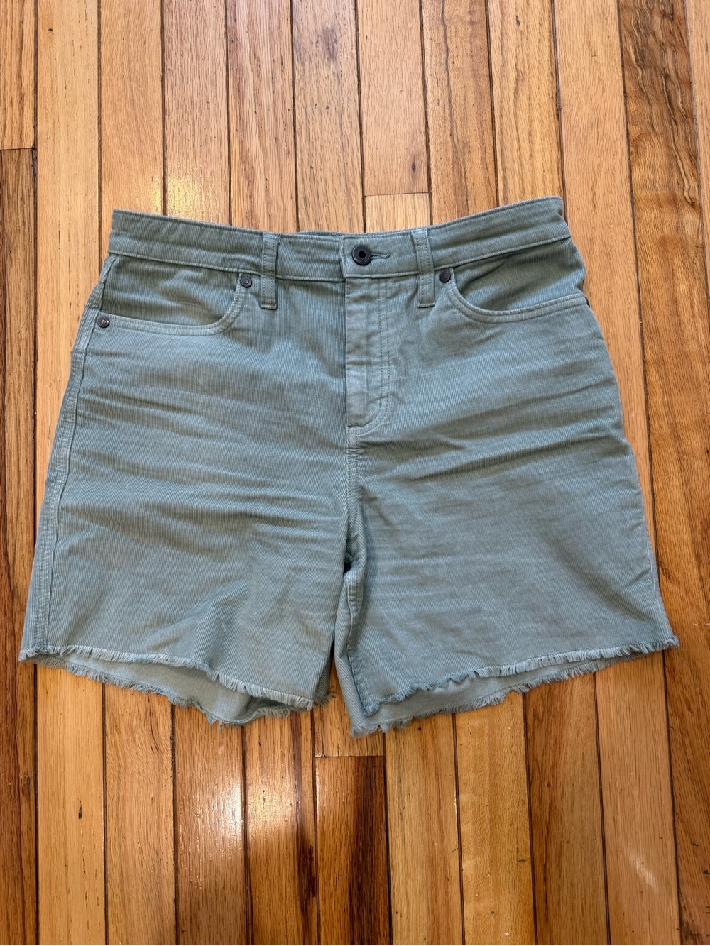 Carve Designs Oahu stretch cord hi rise  short size 6 - Picture 2 of 7